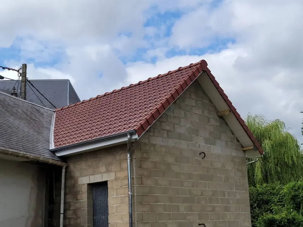 Demoussage et renovation toit
