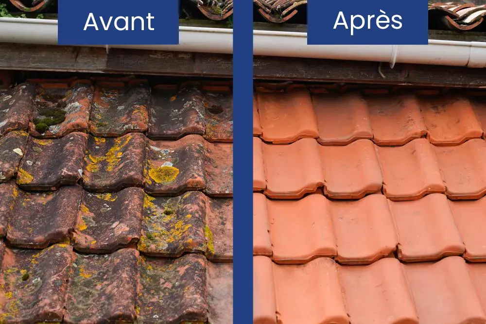 Démoussage toit avant apreswebp